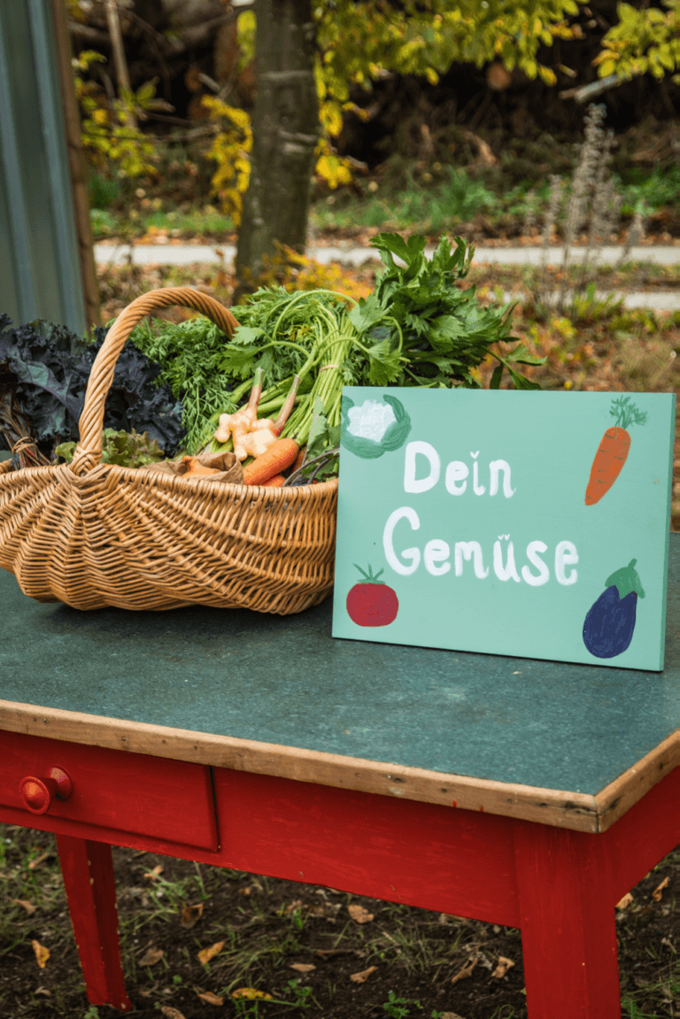 deingemüse.png