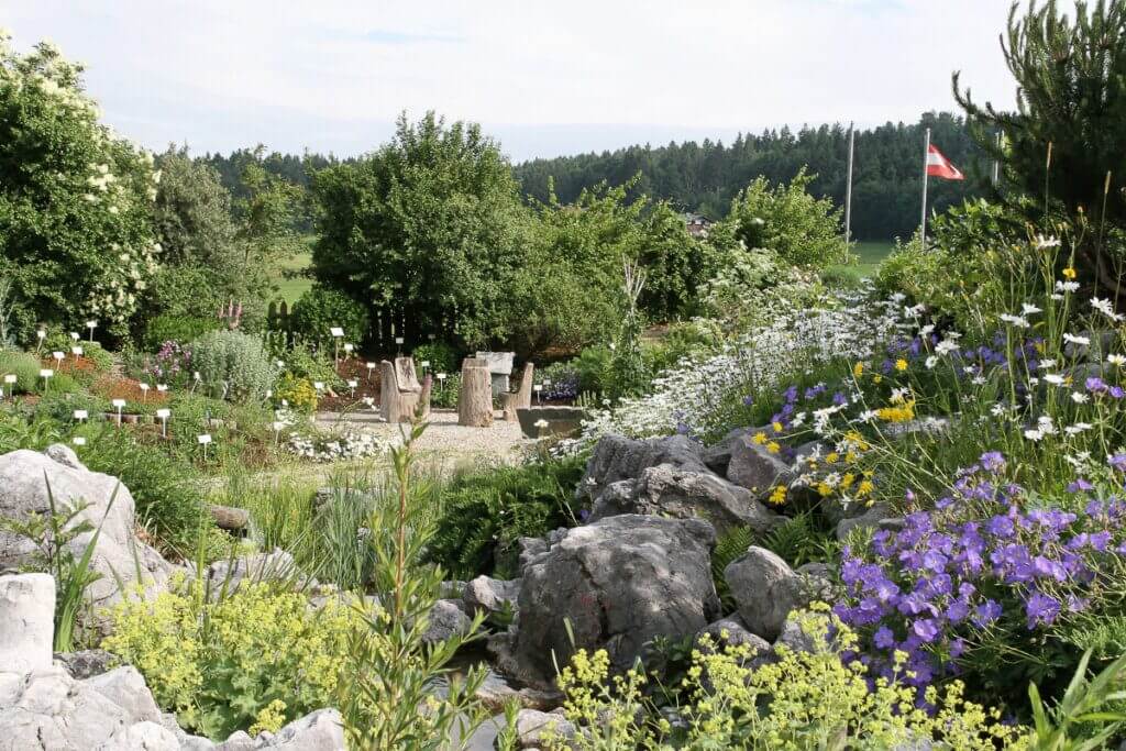 Garten 3