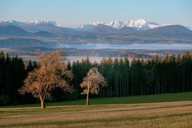 TannbergLochenamSee_Entdeckerviertel_Brothers_(1).jpg