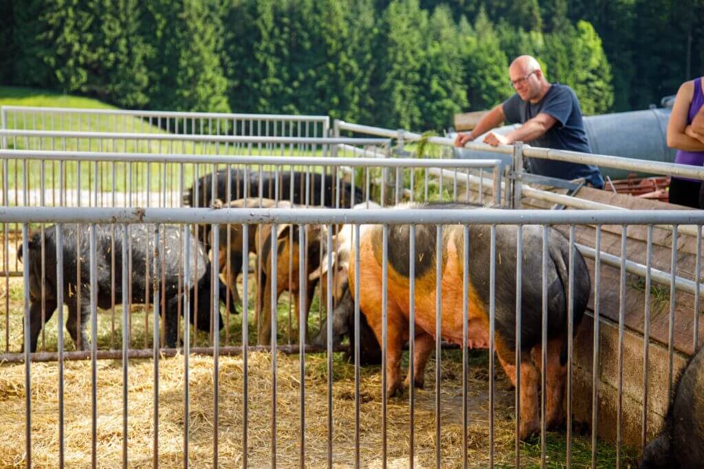 Tittmoning, Kettenberger Ökolandwirt-4048