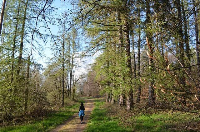 KRÄUTERLeben Waldbaden mit Resy Strasser